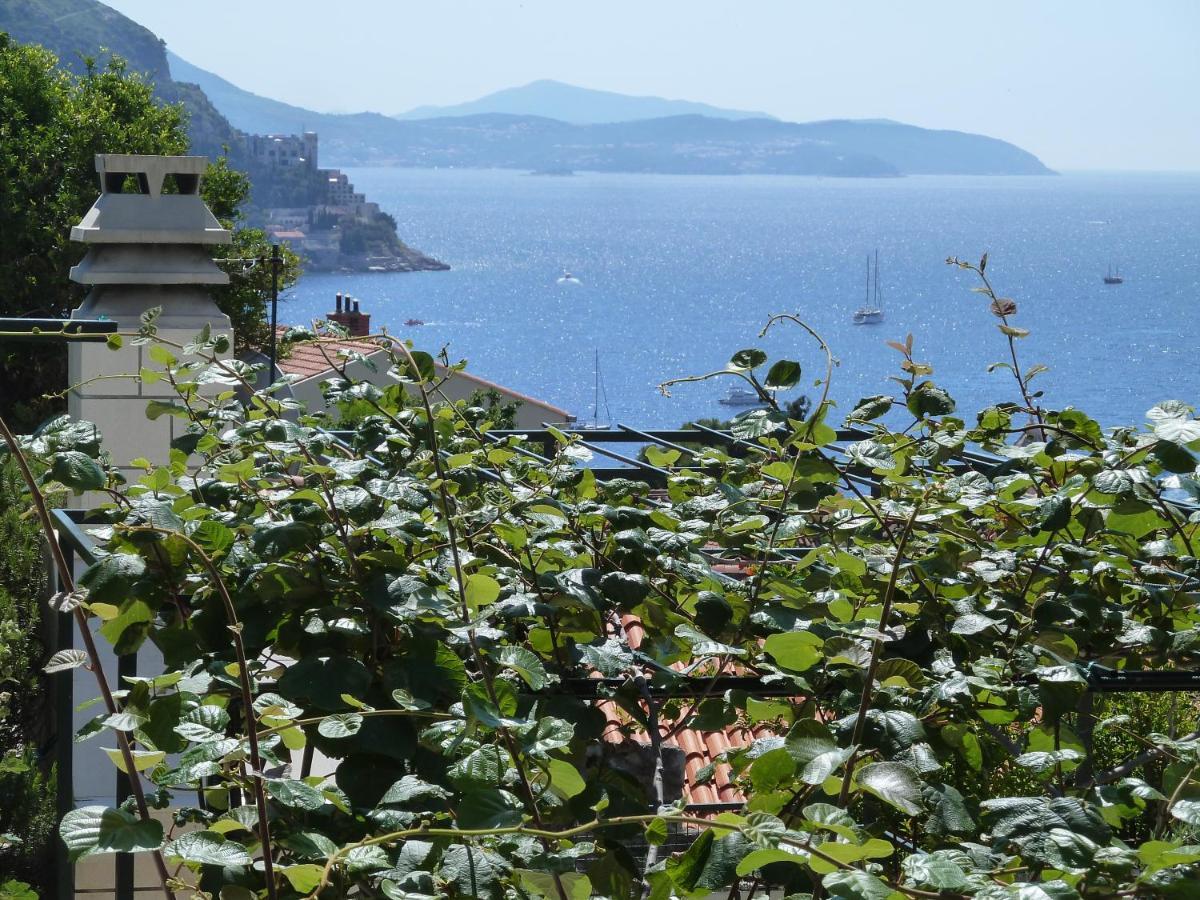 Panoramic Lujak * Dubrovnik